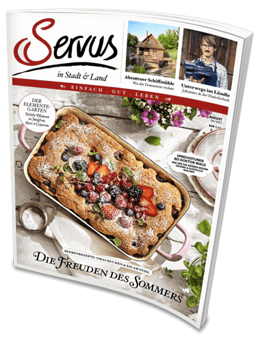 Cover: Servus in Stadt und Land